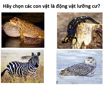 Kỹ năng toán học