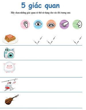 Đánh dấu giác quan nào dùng được với đồ vật