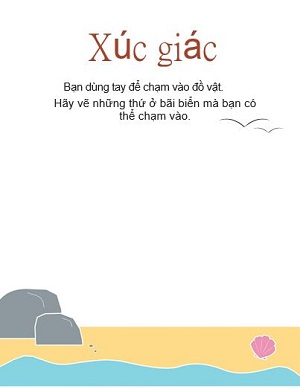 Ta có thể chạm vào những thứ gì trên bãi biển