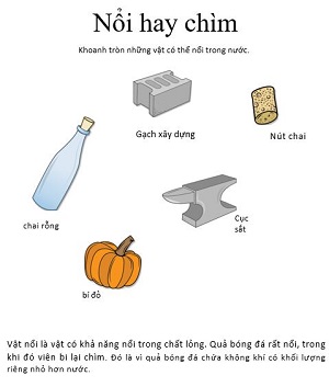 Vật nổi hay chìm? (Bài 5)