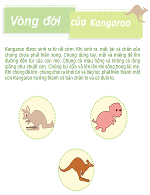 Hoàn thành vòng đời phát triển của chuột túi