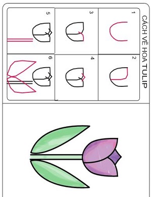 Vẽ bông hoa Tulip