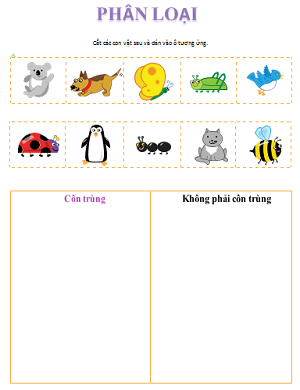 Phân loại côn trùng