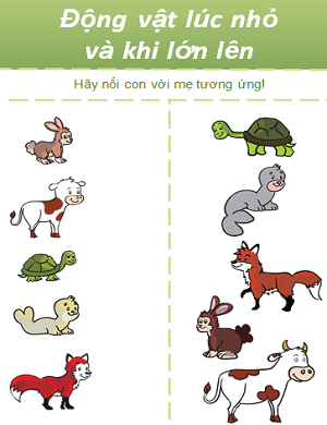 Động vật khi nhỏ và lớn