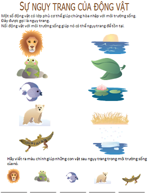Động vật ngụy trang như thế nào?