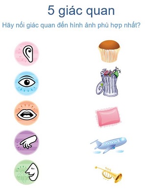 5 giác quan (Bài 2)