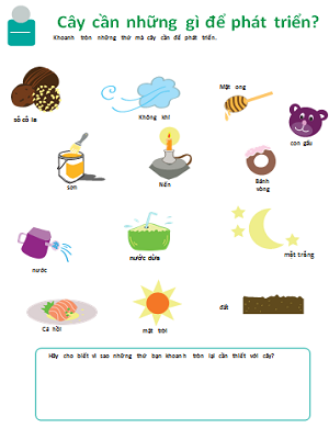 Cây cần những gì để sống?
