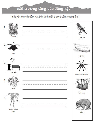 Tìm nơi ở của động vật (Bài 2)