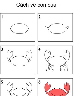 Vẽ con cua
