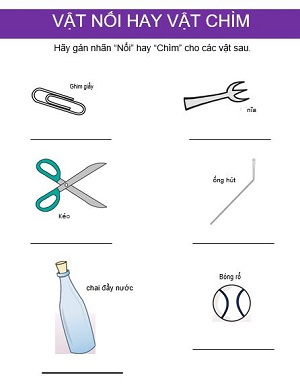 Vật nổi hay chìm? (Bài 4)