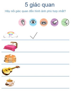 Tìm hiểu 5 giác quan