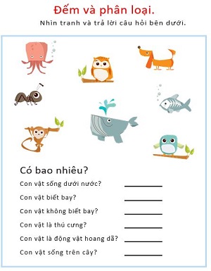 Phân loại đặc trưng của động vật