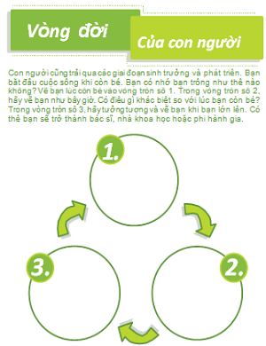 Vòng đời phát triển của con người