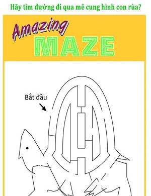 Mê cung con rùa