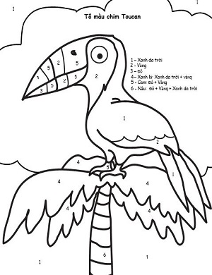 Tô màu chim Toucan