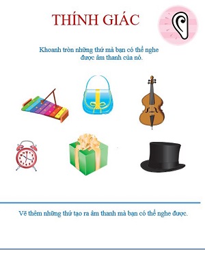 Giác quan thính giác (Bài 1)