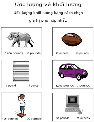 Ước lượng khối lượng