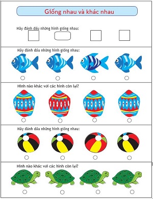 Giống nhau và khác nhau
