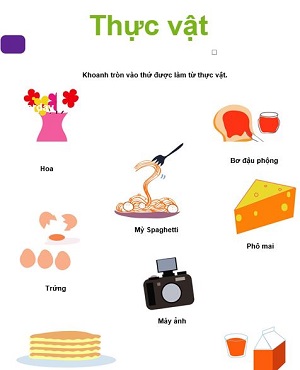 Những thứ được làm từ thực vật