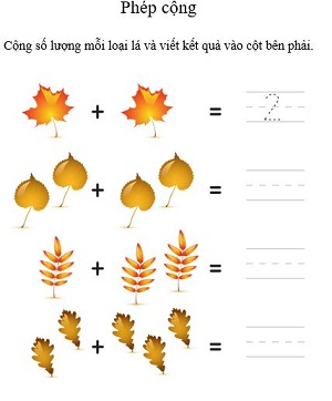 Hiểu về phép cộng(Bài 3)