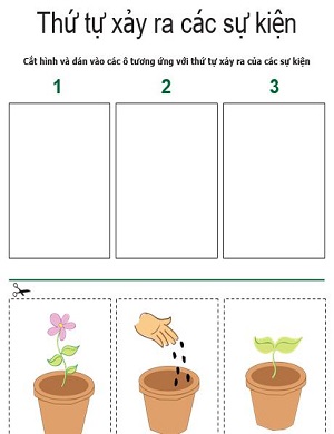 Sắp xếp hình ảnh theo thứ tự xảy ra