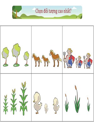 So sánh tìm vật cao nhất