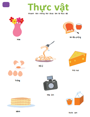 Những thứ được làm từ thực vật