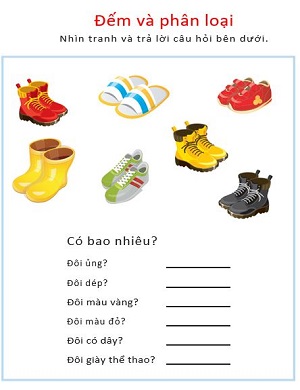 Phân loại đặc trưng của giày dép
