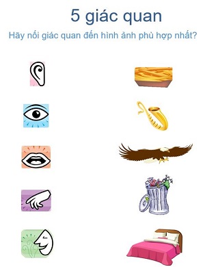 5 giác quan