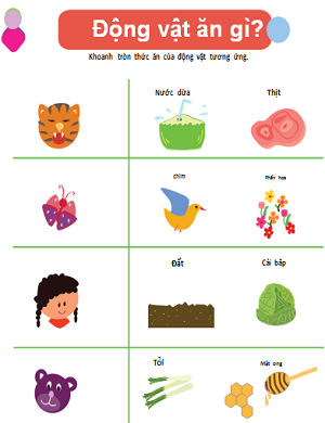 Động vật ăn thức ăn gì (Bài 3)
