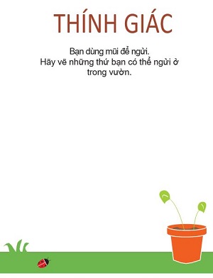 Ta ngửi thấy gì trong một khu vườn?